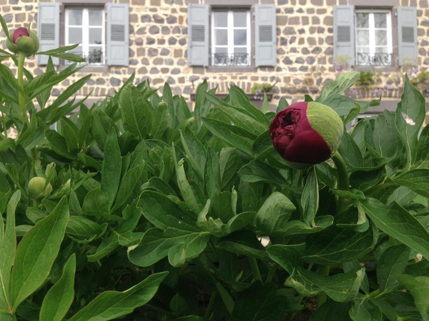 Les Jardins D'Anna - Chambres D'Hotes Tapon Екстериор снимка
